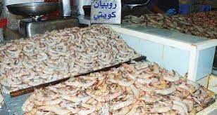 Increase in supply of shrimp in Sharq market