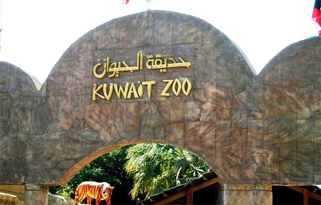 kuwait zoo animals